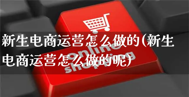 新生电商运营怎么做的(新生电商运营怎么做的呢)_https://www.czttao.com_电商运营_第1张