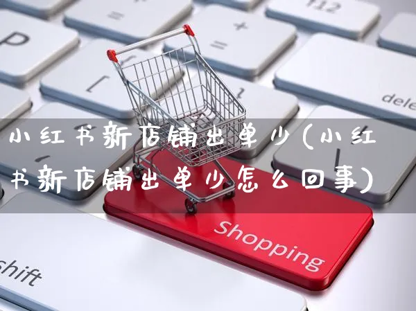 小红书新店铺出单少(小红书新店铺出单少怎么回事)_https://www.czttao.com_小红书_第1张