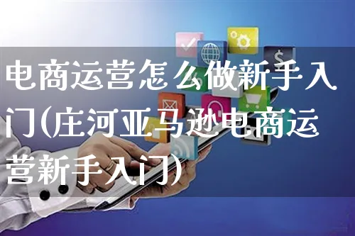 电商运营怎么做新手入门(庄河亚马逊电商运营新手入门)_https://www.czttao.com_电商运营_第1张