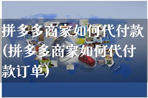 拼多多商家如何代付款(拼多多商家如何代付款订单)_https://www.czttao.com_店铺装修_第1张