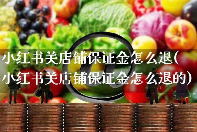 小红书关店铺保证金怎么退(小红书关店铺保证金怎么退的)_https://www.czttao.com_小红书_第1张