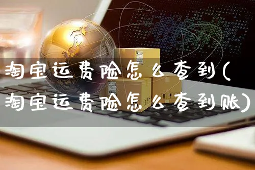 淘宝运费险怎么查到(淘宝运费险怎么查到账)_https://www.czttao.com_店铺装修_第1张