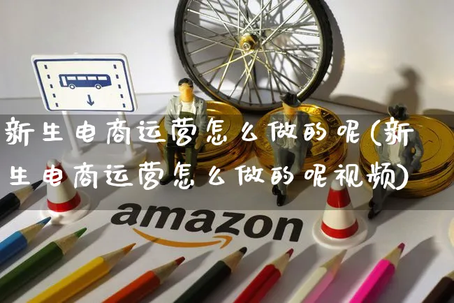 新生电商运营怎么做的呢(新生电商运营怎么做的呢视频)_https://www.czttao.com_电商运营_第1张