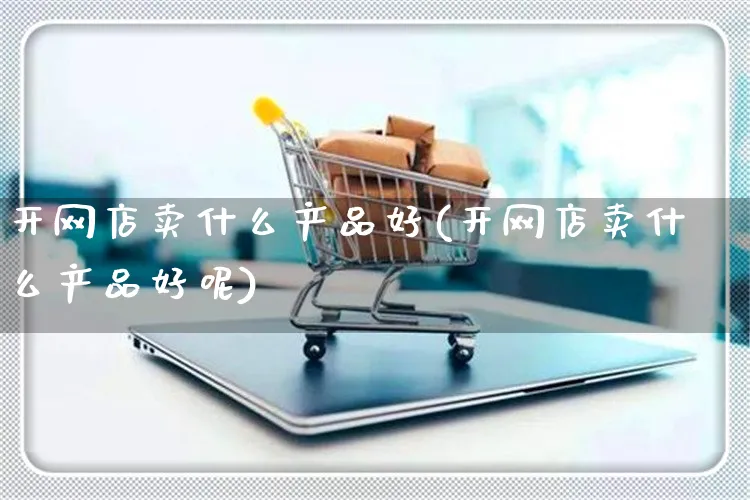 开网店卖什么产品好(开网店卖什么产品好呢)_https://www.czttao.com_开店技巧_第1张