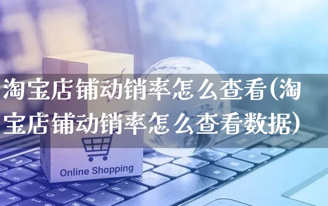 淘宝店铺动销率怎么查看(淘宝店铺动销率怎么查看数据)_https://www.czttao.com_店铺规则_第1张