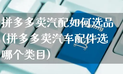 拼多多卖汽配如何选品(拼多多卖汽车配件选哪个类目)_https://www.czttao.com_京东电商_第1张