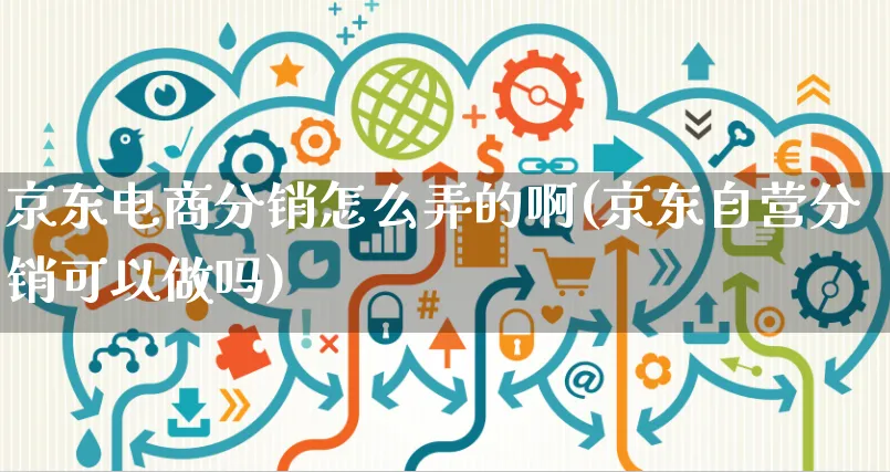 京东电商分销怎么弄的啊(京东自营分销可以做吗)_https://www.czttao.com_京东电商_第1张