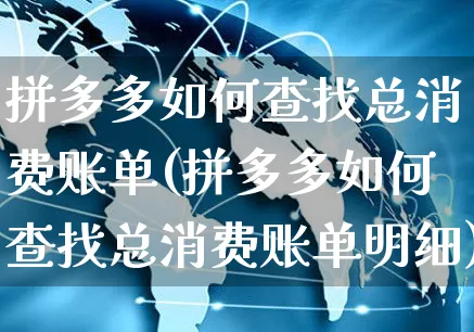 拼多多如何查找总消费账单(拼多多如何查找总消费账单明细)_https://www.czttao.com_开店技巧_第1张