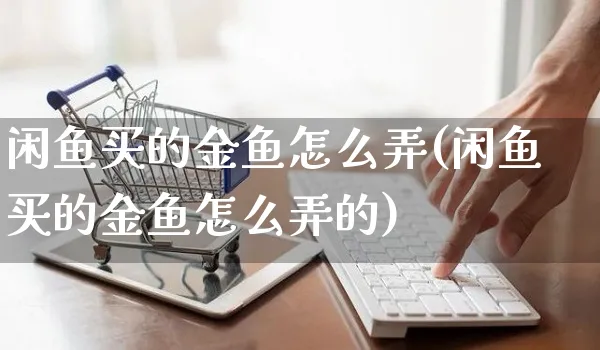 闲鱼买的金鱼怎么弄(闲鱼买的金鱼怎么弄的)_https://www.czttao.com_闲鱼电商_第1张