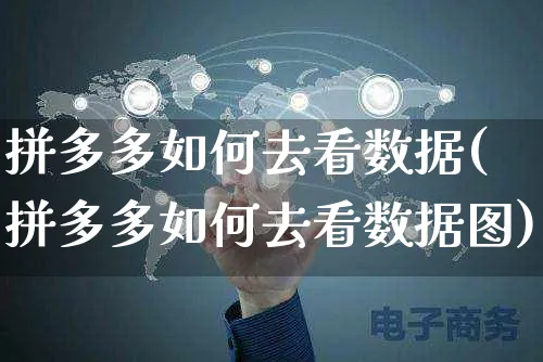 拼多多如何去看数据(拼多多如何去看数据图)_https://www.czttao.com_拼多多电商_第1张