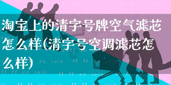 淘宝上的清字号牌空气滤芯怎么样(清字号空调滤芯怎么样)_https://www.czttao.com_开店技巧_第1张