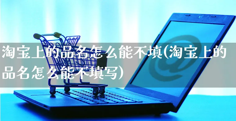 淘宝上的品名怎么能不填(淘宝上的品名怎么能不填写)_https://www.czttao.com_店铺装修_第1张