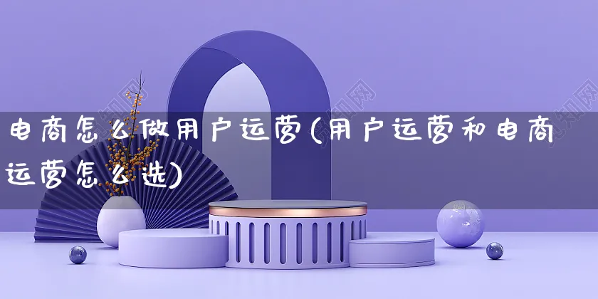 电商怎么做用户运营(用户运营和电商运营怎么选)_https://www.czttao.com_电商运营_第1张