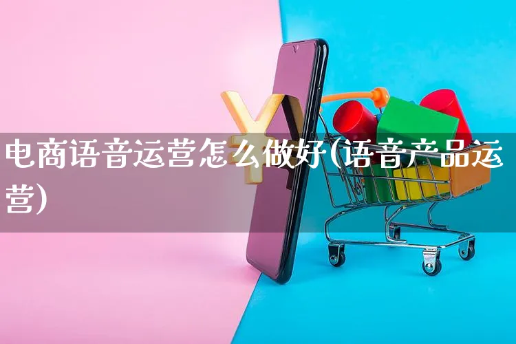 电商语音运营怎么做好(语音产品运营)_https://www.czttao.com_亚马逊电商_第1张