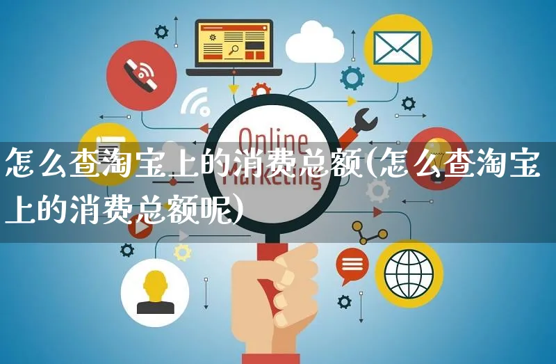 怎么查淘宝上的消费总额(怎么查淘宝上的消费总额呢)_https://www.czttao.com_小红书_第1张