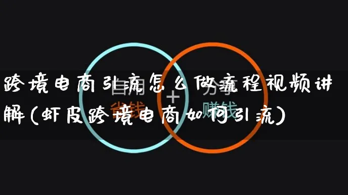 跨境电商引流怎么做流程视频讲解(虾皮跨境电商如何引流)_https://www.czttao.com_视频/直播带货_第1张