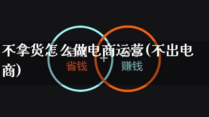 不拿货怎么做电商运营(不出电商)_https://www.czttao.com_电商运营_第1张