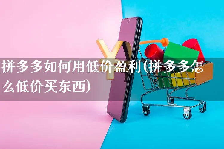 拼多多如何用低价盈利(拼多多怎么低价买东西)_https://www.czttao.com_京东电商_第1张