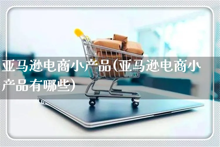 亚马逊电商小产品(亚马逊电商小产品有哪些)_https://www.czttao.com_亚马逊电商_第1张