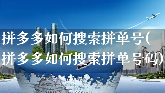 拼多多如何搜索拼单号(拼多多如何搜索拼单号码)_https://www.czttao.com_京东电商_第1张