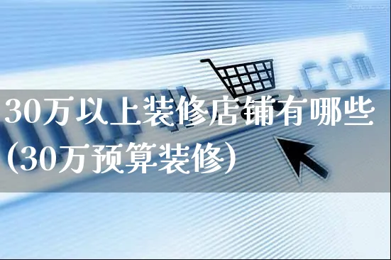 30万以上装修店铺有哪些(30万预算装修)_https://www.czttao.com_店铺装修_第1张