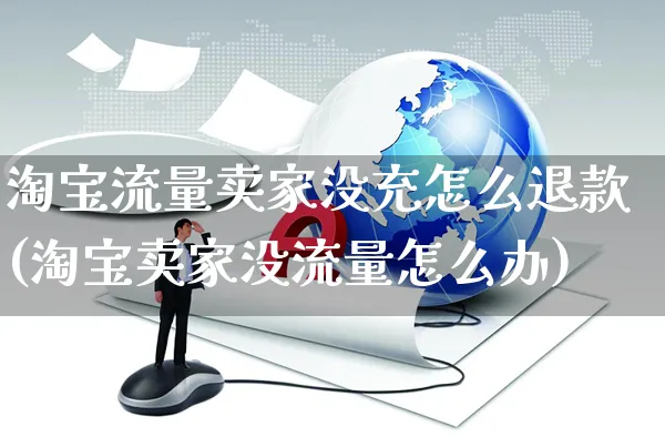 淘宝流量卖家没充怎么退款(淘宝卖家没流量怎么办)_https://www.czttao.com_亚马逊电商_第1张