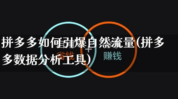 拼多多如何引爆自然流量(拼多多数据分析工具)_https://www.czttao.com_店铺装修_第1张