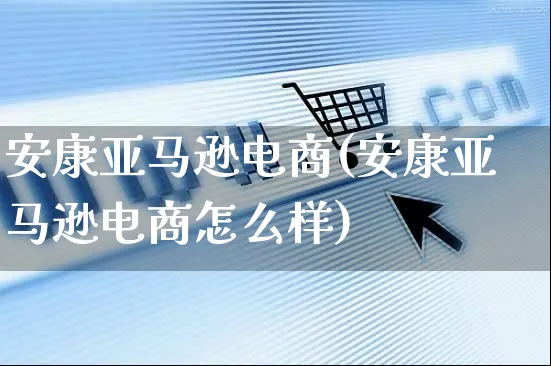 安康亚马逊电商(安康亚马逊电商怎么样)_https://www.czttao.com_亚马逊电商_第1张