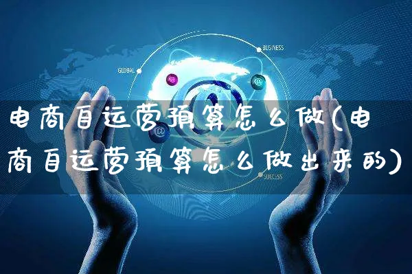 电商自运营预算怎么做(电商自运营预算怎么做出来的)_https://www.czttao.com_电商资讯_第1张