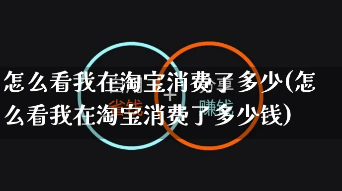 怎么看我在淘宝消费了多少(怎么看我在淘宝消费了多少钱)_https://www.czttao.com_店铺装修_第1张