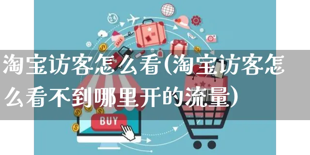 淘宝访客怎么看(淘宝访客怎么看不到哪里开的流量)_https://www.czttao.com_店铺规则_第1张