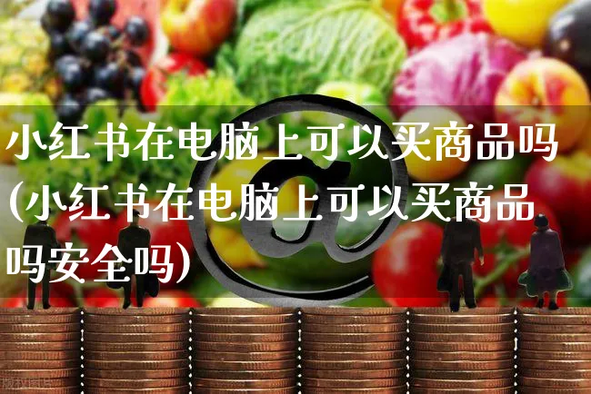 小红书在电脑上可以买商品吗(小红书在电脑上可以买商品吗安全吗)_https://www.czttao.com_小红书_第1张