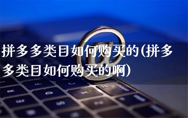 拼多多类目如何购买的(拼多多类目如何购买的啊)_https://www.czttao.com_店铺装修_第1张