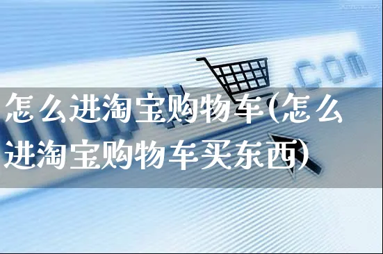 怎么进淘宝购物车(怎么进淘宝购物车买东西)_https://www.czttao.com_京东电商_第1张