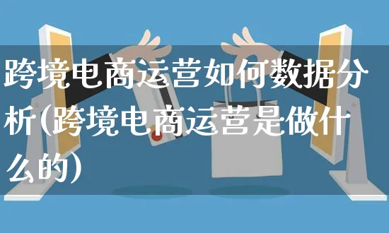 跨境电商运营如何数据分析(跨境电商运营是做什么的)_https://www.czttao.com_电商运营_第1张