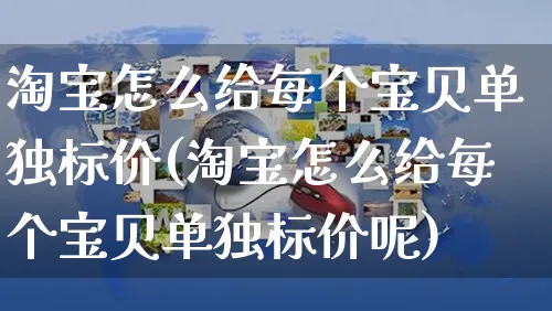 淘宝怎么给每个宝贝单独标价(淘宝怎么给每个宝贝单独标价呢)_https://www.czttao.com_视频/直播带货_第1张