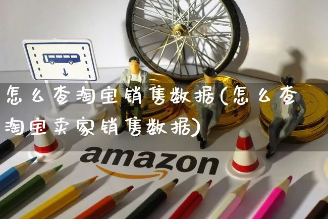 怎么查淘宝销售数据(怎么查淘宝卖家销售数据)_https://www.czttao.com_拼多多电商_第1张