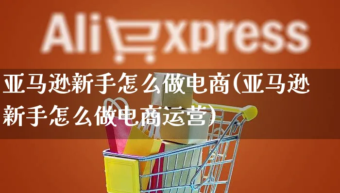 亚马逊新手怎么做电商(亚马逊新手怎么做电商运营)_https://www.czttao.com_电商资讯_第1张