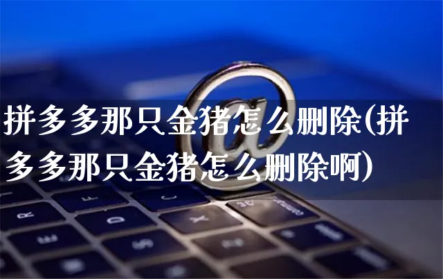 拼多多那只金猪怎么删除(拼多多那只金猪怎么删除啊)_https://www.czttao.com_抖音小店_第1张