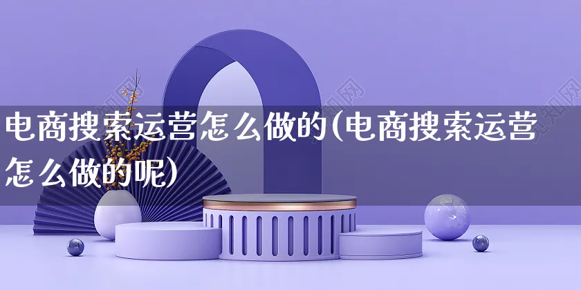 电商搜索运营怎么做的(电商搜索运营怎么做的呢)_https://www.czttao.com_电商资讯_第1张