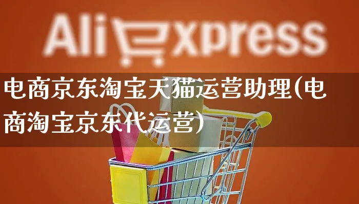 电商京东淘宝天猫运营助理(电商淘宝京东代运营)_https://www.czttao.com_京东电商_第1张