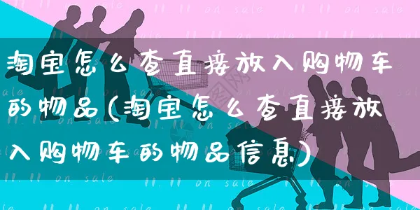 淘宝怎么查直接放入购物车的物品(淘宝怎么查直接放入购物车的物品信息)_https://www.czttao.com_拼多多电商_第1张