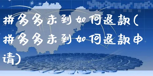 拼多多未到如何退款(拼多多未到如何退款申请)_https://www.czttao.com_京东电商_第1张