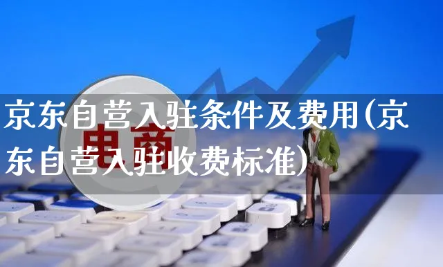 京东自营入驻条件及费用(京东自营入驻收费标准)_https://www.czttao.com_电商运营_第1张