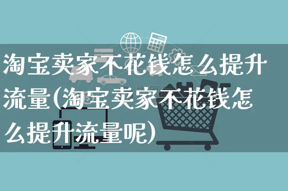 淘宝卖家不花钱怎么提升流量(淘宝卖家不花钱怎么提升流量呢)_https://www.czttao.com_店铺装修_第1张