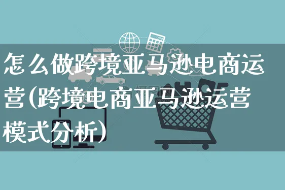 怎么做跨境亚马逊电商运营(跨境电商亚马逊运营模式分析)_https://www.czttao.com_亚马逊电商_第1张