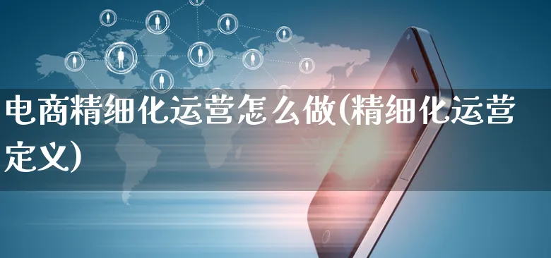 电商精细化运营怎么做(精细化运营定义)_https://www.czttao.com_电商运营_第1张