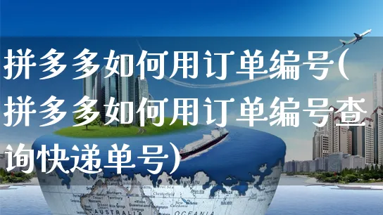 拼多多如何用订单编号(拼多多如何用订单编号查询快递单号)_https://www.czttao.com_开店技巧_第1张