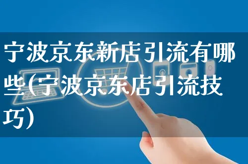 宁波京东新店引流有哪些(宁波京东店引流技巧)_https://www.czttao.com_京东电商_第1张